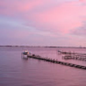 Meet your Posher, Ann